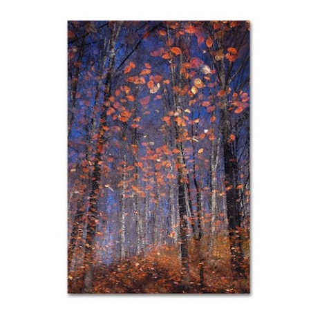 Florentin Vinogradof 'Autumn Leaves' Canvas Art,30x47